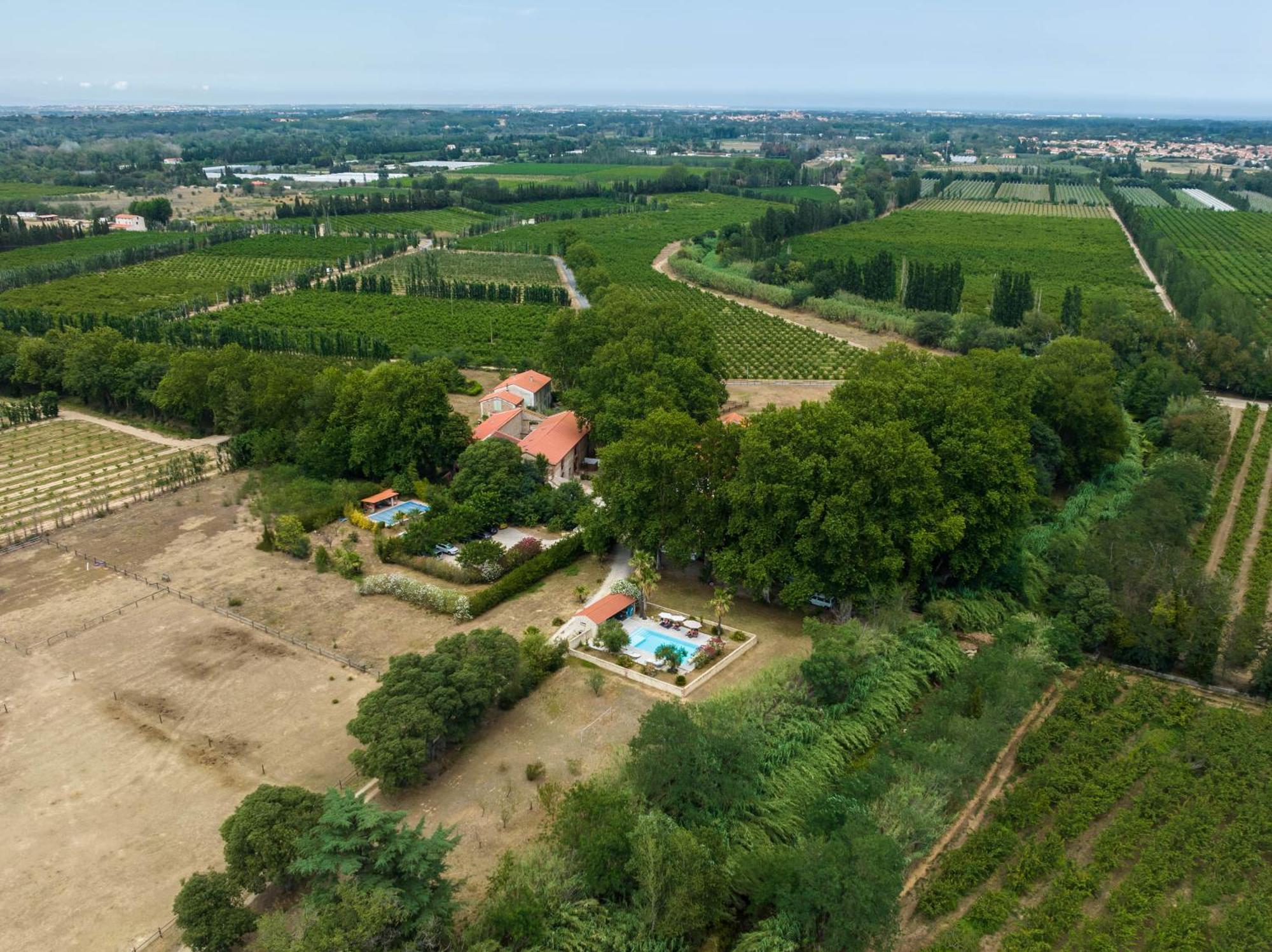 Domaine Castell De Bles Saint-Génis Exterior foto